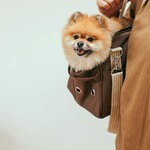 Зооняня дополнительные задачи